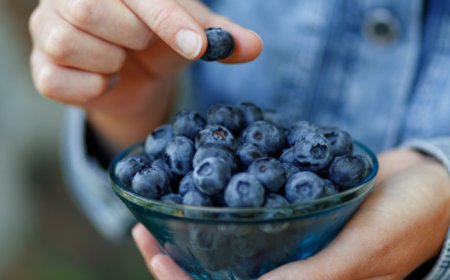 Retiro masivo de arándanos congelados en EE.UU. por riesgo sanitario grave