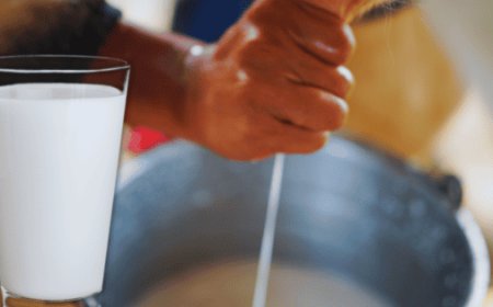 Leche cruda en México: entre tradición y riesgo sanitario