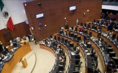 El Senado reconoce a los caídos en el operativo fallido contra 'El Mencho' en Jalisco