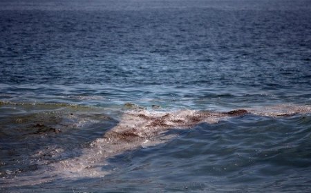 Derrame petrolero afecta 16 playas mexicanas mientras autoridades carecen de información oficial