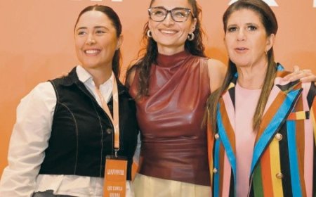 Una iniciativa busca imponer jornada laboral completa a diputados y senadores