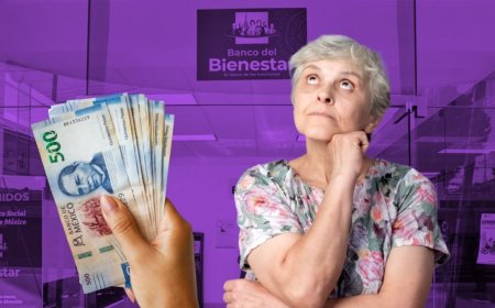 El acceso sin costo a la pensión bimestral: un derecho que requiere información clara