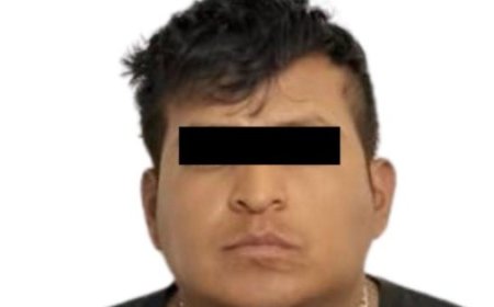 El traslado al penal y la declaración del conductor en el caso Ana Karen