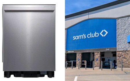 La democratización del confort: lavavajillas y la evolución de la cocina moderna