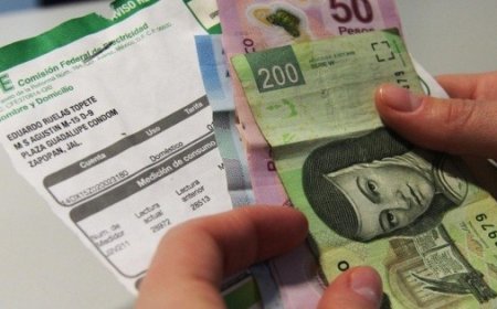 Estrategias para mantener el subsidio eléctrico y reducir el recibo de la CFE