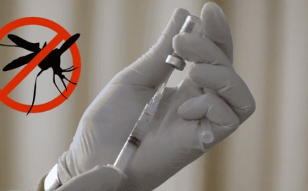 Cofepris aprueba vacuna contra el dengue en México tras repunte histórico de casos