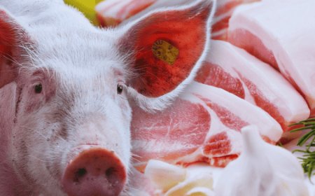 La carne de cerdo en México: entre la tradición culinaria y la seguridad alimentaria moderna