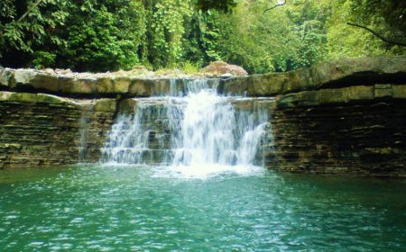 Paxil, el santuario arqueológico de Veracruz que fusiona historia milenaria y naturaleza virgen