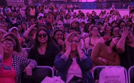 Programas de apoyo social para mujeres y madres solteras en México en 2026