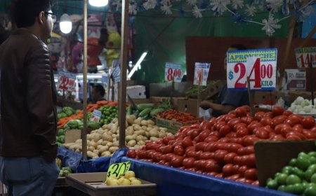 La inflación de febrero 2026 presiona el bolsillo: alimentos y servicios lideran alzas