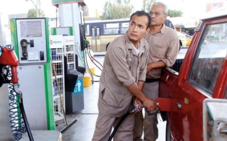 Herramienta digital de Profeco permite ubicar gasolineras con precios justos en México