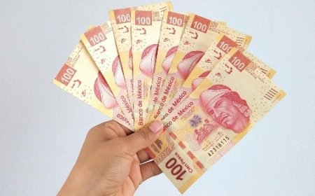 El reparto de utilidades en 2026: derechos, obligaciones y excepciones legales