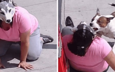 El video viral de un ataque canino que expone los desafíos de la inteligencia artificial