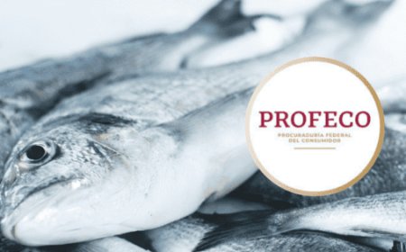 Precios accesibles de pescado en Cuaresma 2026: una guía del consumo responsable