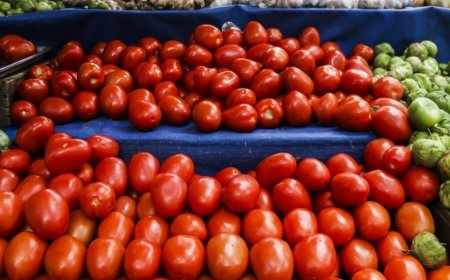 El jitomate a 66 pesos: factores económicos y de seguridad disparan la canasta básica