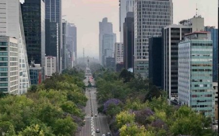 Restricciones vehiculares en la ZMVM: calendario y consecuencias del incumplimiento