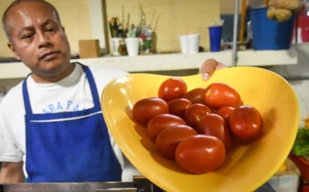 El jitomate en México: de la cocina al termómetro económico y social