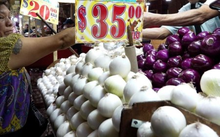 La cebolla en México: entre la tradición milenaria y la economía familiar actual