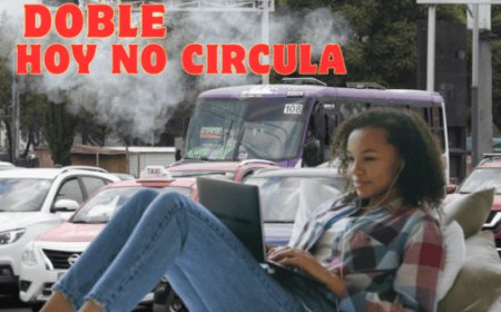 Home Office como alternativa ambiental: una propuesta legislativa frente a las contingencias