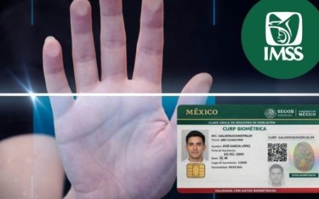 La CURP biométrica se consolida como requisito clave en trámites del IMSS