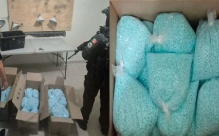 Cooperación internacional clave en el golpe al fentanilo en Colima