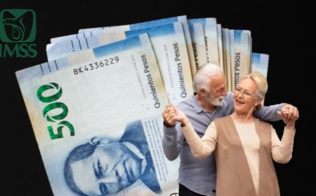 La puntualidad del IMSS en Tabasco: un compromiso con la seguridad económica de los jubilados