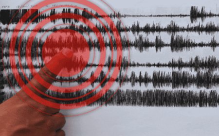 Enjambre sísmico en Guanajuato revela vulnerabilidad geológica y necesidad de monitoreo