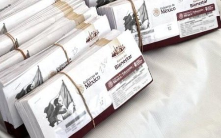 Protección de apoyos sociales: acciones inmediatas ante la pérdida de la tarjeta del Bienestar