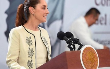 El PVEM respalda la reforma electoral de Sheinbaum en busca de austeridad y eficiencia