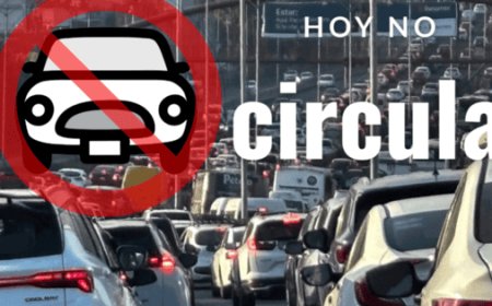 Hoy No Circula opera con normalidad este lunes sin activación de contingencia ambiental