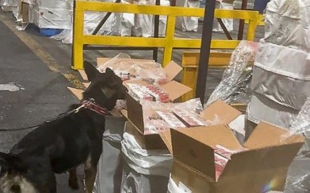 Marina asegura cargamento de cigarrillos ilícitos valuado en millones en el AICM