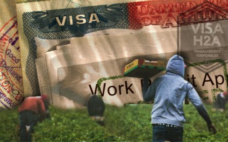 EE.UU. ajusta visas agrícolas H-2A ante crisis laboral, modificando salarios y requisitos