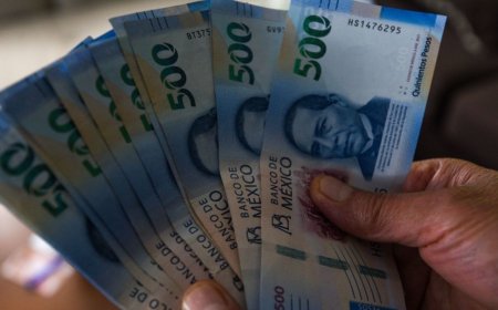 Alemania busca técnicos en enfermería mexicanos con salario competitivo y formación lingüística