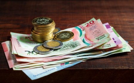 El reparto de utilidades 2026: cálculo, plazos y derechos laborales esenciales