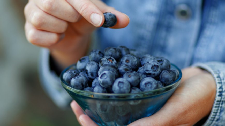 Retiro masivo de arándanos congelados en EE.UU. por riesgo sanitario grave