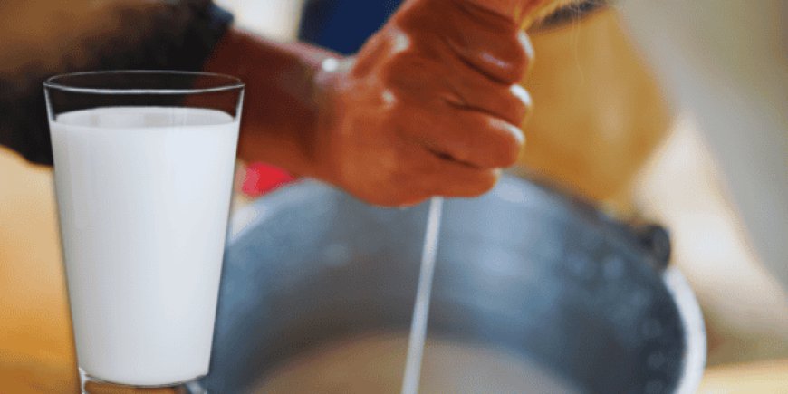 Leche cruda en México: entre tradición y riesgo sanitario