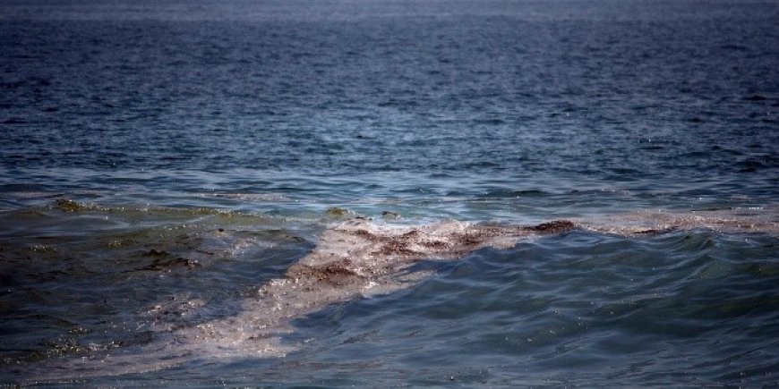 Derrame petrolero afecta 16 playas mexicanas mientras autoridades carecen de información oficial