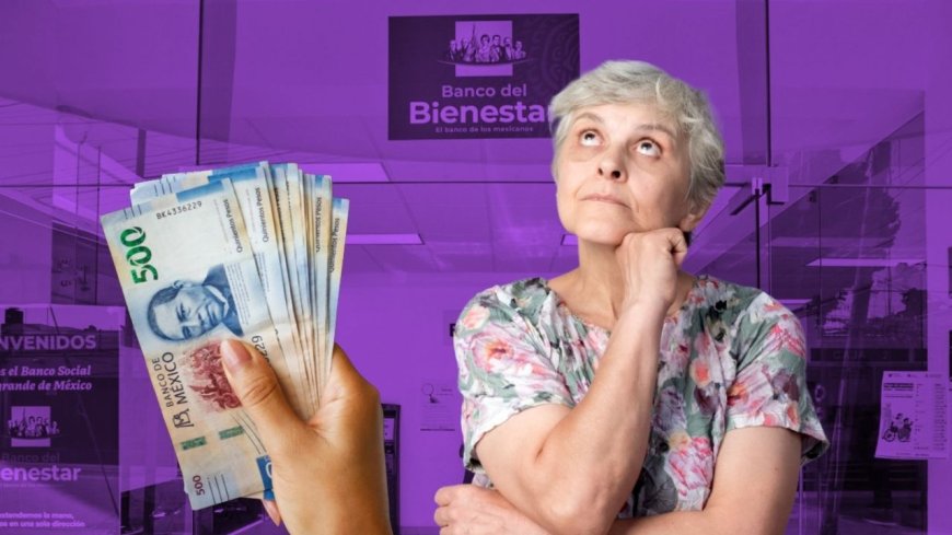 El acceso sin costo a la pensión bimestral: un derecho que requiere información clara