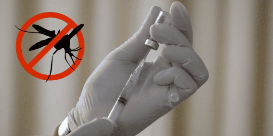 Cofepris aprueba vacuna contra el dengue en México tras repunte histórico de casos