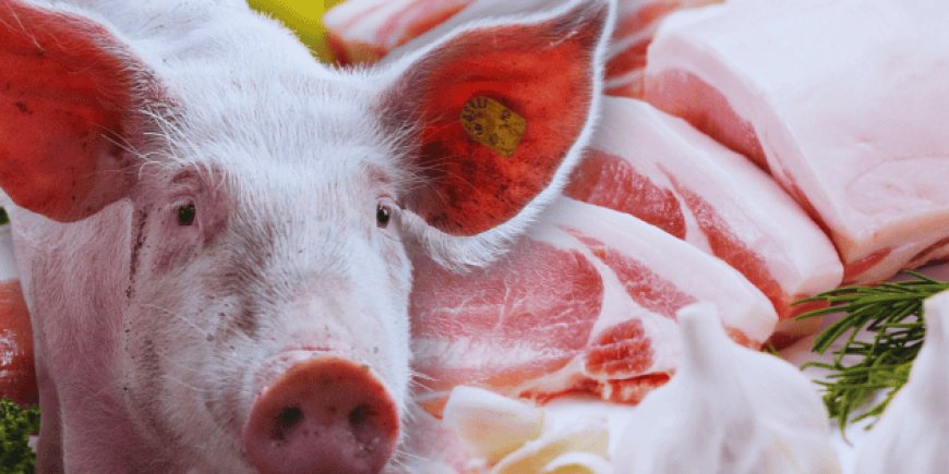 La carne de cerdo en México: entre la tradición culinaria y la seguridad alimentaria moderna