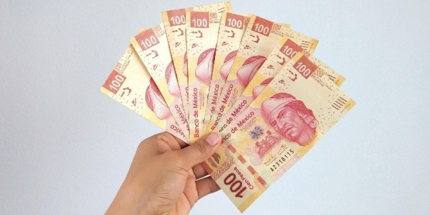 El reparto de utilidades en 2026: derechos, obligaciones y excepciones legales