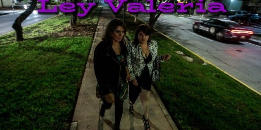 La Ley Valeria: Un paso histórico contra el acecho y un vacío legal persistente