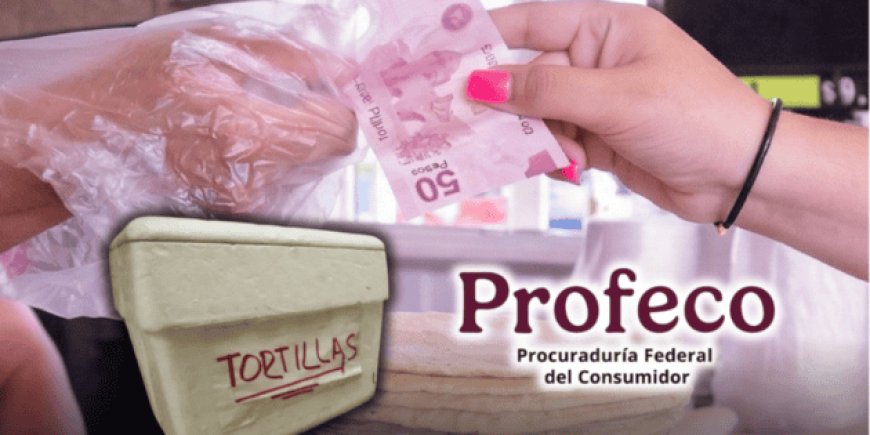 Profeco aclara su alcance real en la vigilancia de la venta de tortillas