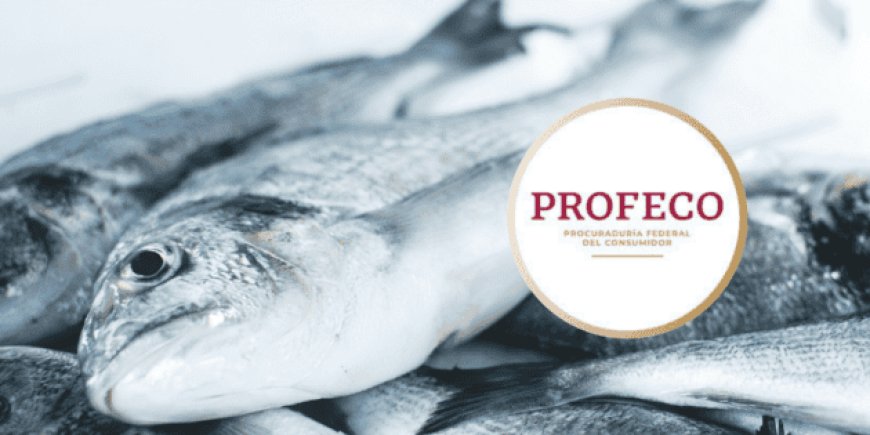 Precios accesibles de pescado en Cuaresma 2026: una guía del consumo responsable