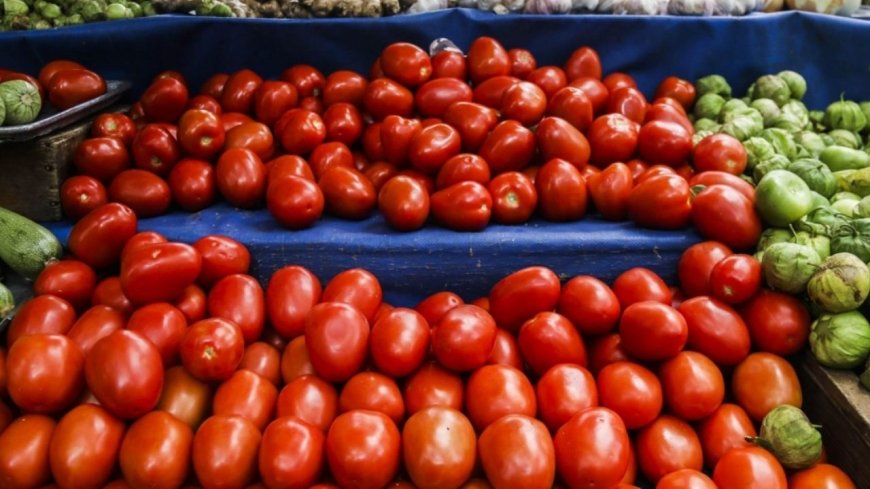 El jitomate a 66 pesos: factores económicos y de seguridad disparan la canasta básica