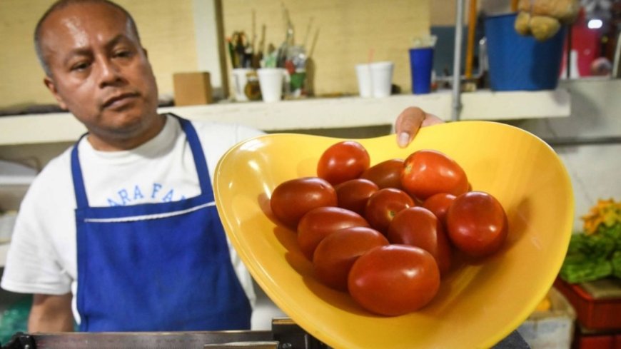 El jitomate en México: de la cocina al termómetro económico y social