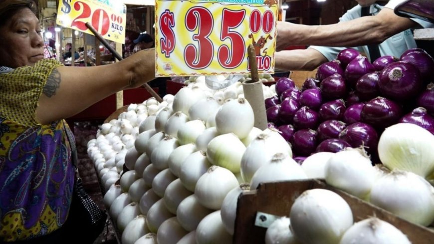 La cebolla en México: entre la tradición milenaria y la economía familiar actual