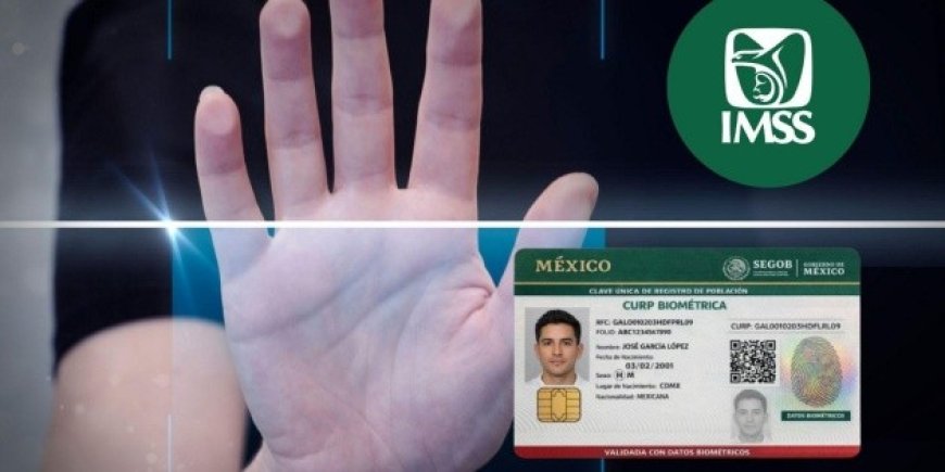 La CURP biométrica se consolida como requisito clave en trámites del IMSS
