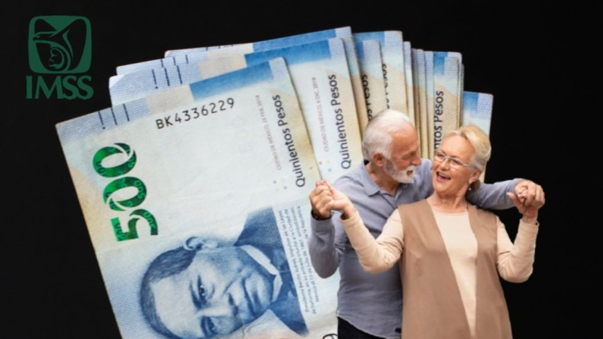 La puntualidad del IMSS en Tabasco: un compromiso con la seguridad económica de los jubilados