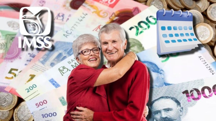 La planificación financiera de los jubilados del IMSS en Zacatecas para abril de 2026